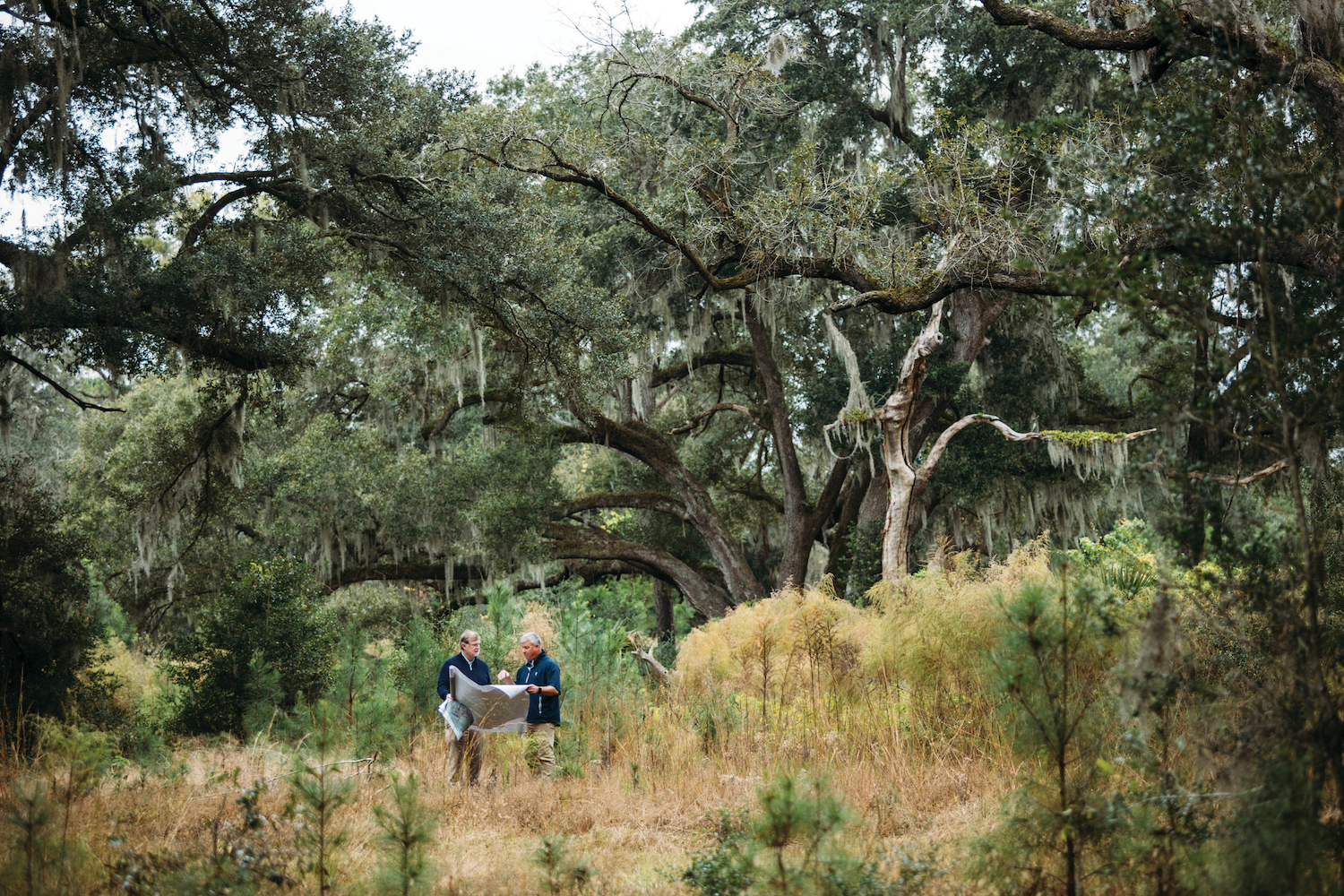 Meet Beau Welling, Busiest Golf Course Designer in South Carolina and Designer of Kiawah Island Club’s Newest Golf Course at Orange Hill