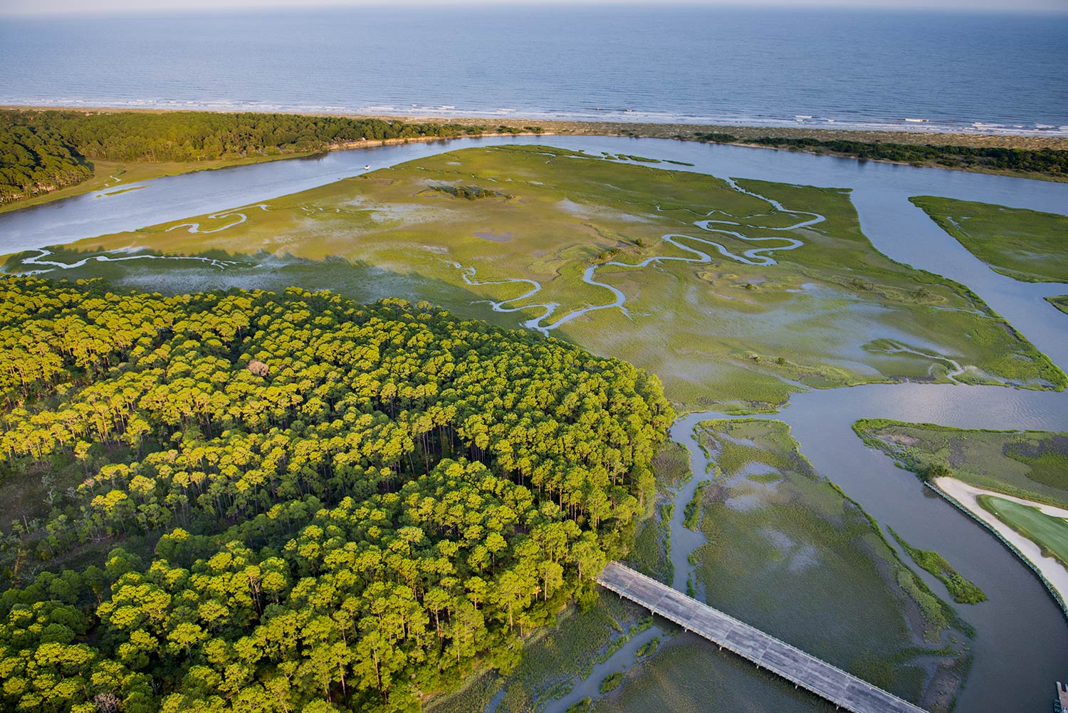 Eagle Island | Kiawah Island Real Estate