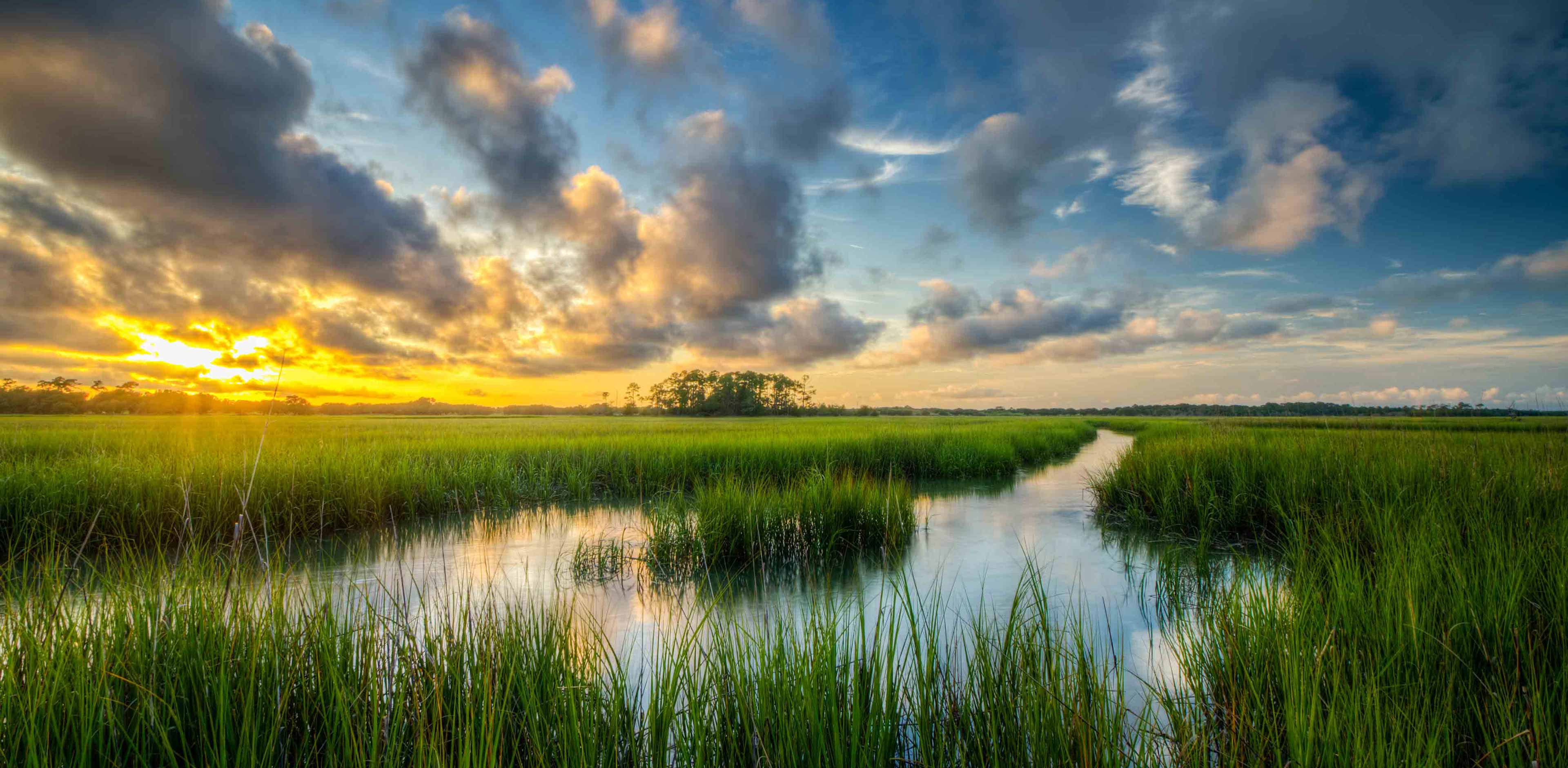 Beachfront Condo Kiawah Island