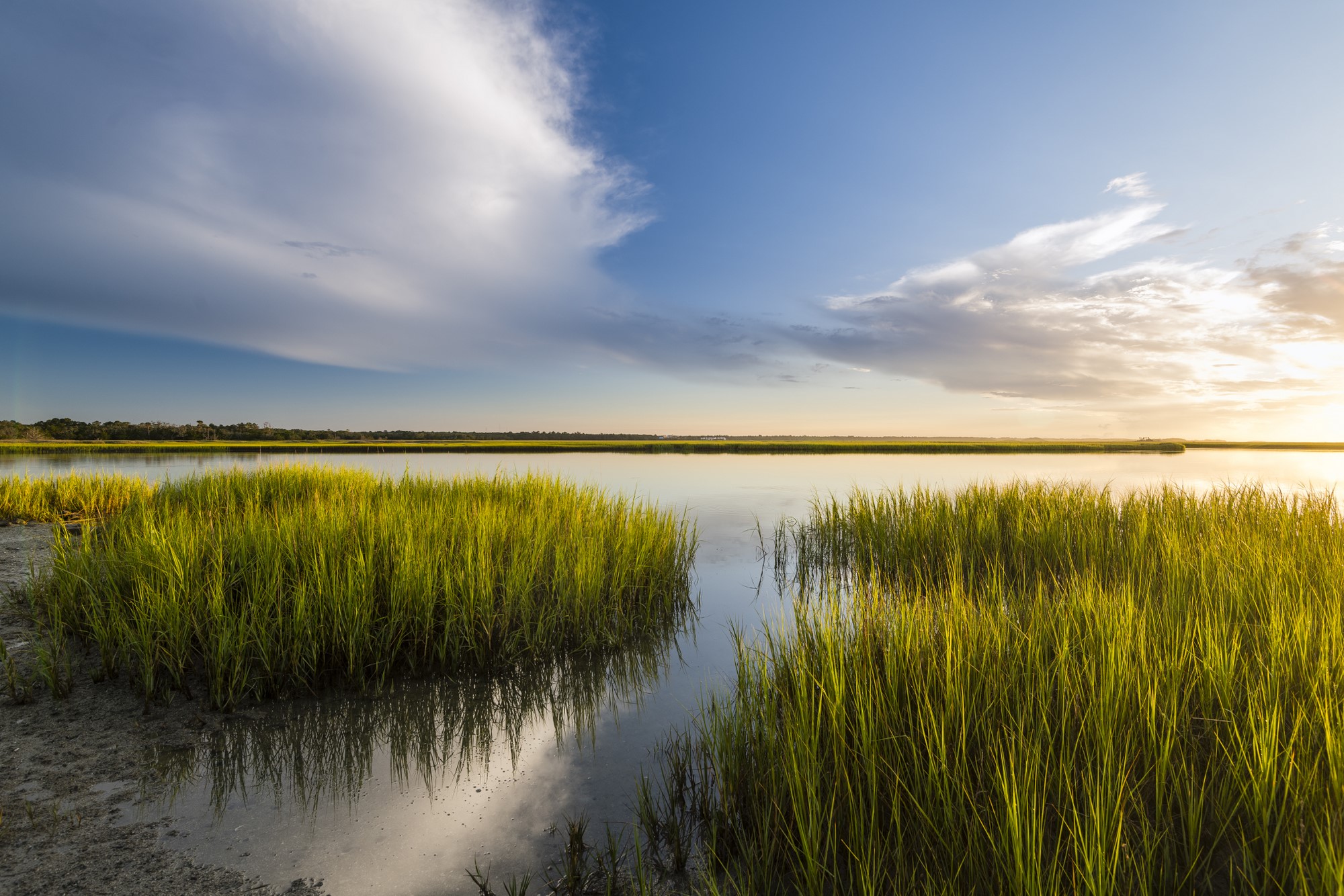 Seven Beautiful Images of Kiawah Island