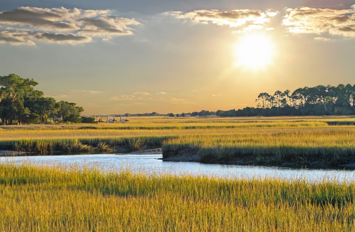 Visit The South Carolina Lowcountry Kiawah Island Club Real Estate